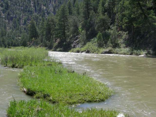 River bend at meadow